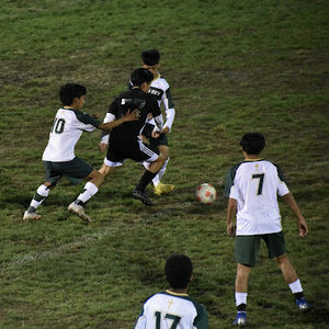 Meet your Posher, Luis